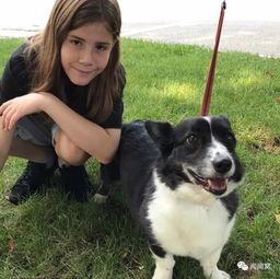 吃瓜网红事件狗子图片,狗子图片引发网友热议